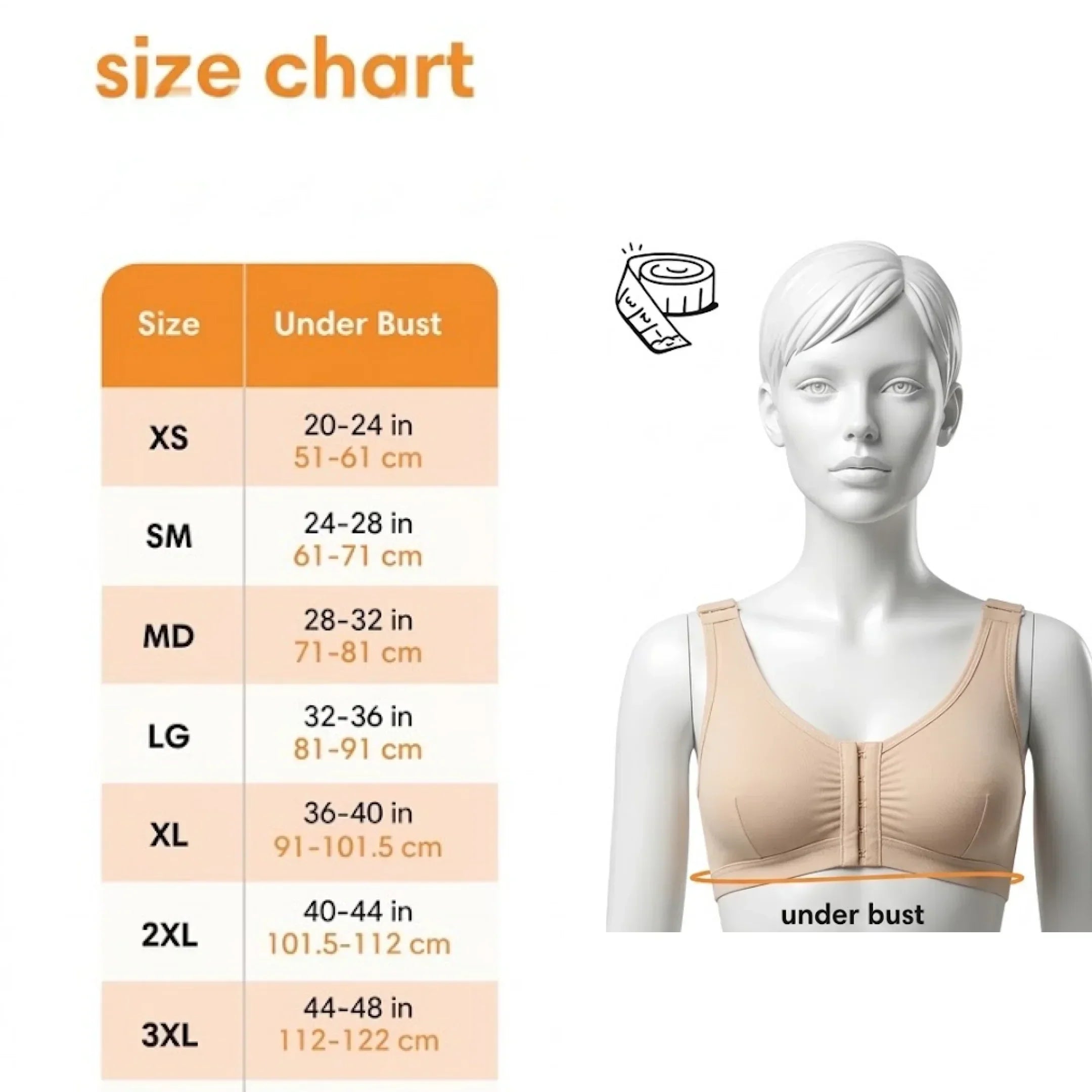 Bra size chart with under bust measurements, mannequin in beige bra, measuring tape graphic.